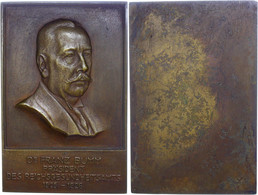 1061 Berlin, Einseitige Bronzeplakette (117,7x78,2 Mm, 275,2 G), 1926, Dr. Franz Bumm, Präsident Des Reichsgesundheitsam - Sonstige & Ohne Zuordnung