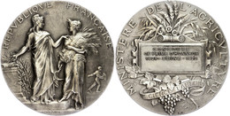 1245 Frankreich, Silbermedaille (Dm. Ca. 50mm, Ca. 60,86g), 1922, Ca. A. Dubois. Av: Stehende Weibliche Gestalt, Daneben - Sonstige & Ohne Zuordnung