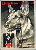 3300 1940, "Unser Treuer Kamerad", Rotes-Kreuz-Karte Mit Abbildung Schäferhund, Gelaufen (Frankatur Fleckig) Nach Hannov - Sonstige & Ohne Zuordnung