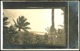 6782 LANDSCHAFT, Fotokarte (Palmen Und Strand) Mit 5 Pfg Kaiseryacht, Stempel RABAUL (DNG) -/13 - (Tag Und Jahr Nicht Le - Other & Unclassified