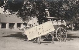 INDE -  Un Bel Attelage  ( Carte Photo ) - Inde