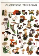 Champignons Comestibles , Nouvelles Images 1997 - Mushrooms