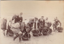 Norfolk STIFFKEY Group Of Cockler Pickers #2 Phot44 - Old (before 1900)