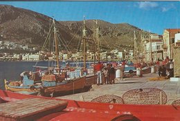 Fishing Boats In Port. Kalymnos Greece.  # 05993 - Pêche