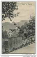 Altenau Im Oberharz - Blick Von Der Bergstrasse Ca. 1910 - Altenau