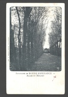 Estinnes - Séminaire De Bonne-Espérance - Allée Du Bosquet - 1902 - Dos Simple - Estinnes