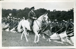 95848 GÖDÖLLŐ 1933. Cserkész Jamboree , Horthy , Szemle, Fotós Képeslap (hátold:albumnyomok) SCOUT - Hongrie