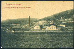 97253 PELSÜCZ 1910. Első Magyar Papírgyár, Ritka Képeslap  /  PELSÜCZ 1910 First Hun. Paper Factory HUNGARY / SLOVAKIA - Hongrie