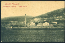 97253 PELSÜCZ 1910. Első Magyar Papírgyár, Ritka Képeslap  /  PELSÜCZ 1910 First Hun. Paper Factory HUNGARY / SLOVAKIA - Ungarn