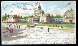 99059 BUDAPEST 1901. Székesfővárosi Pavillon Litho Képeslap - Ungarn