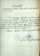 97911 BUDAPEST 1892. Rendőr Főkapitányság, Engedély  "a Lánchidon A Jelenleg Folyó Munkálatok Alatt Kézikocsi Közlekedés - Unclassified