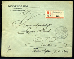 96451 BUDAPEST 19235. Ajánlott Céges Levél  Bécsbe , Rosenzweig - Covers & Documents