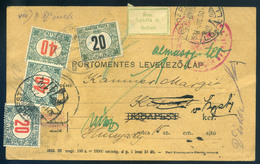 98115 BUDAPEST 1921. Portómentes , Visszaküldött Levelezőlap ,kettős Vegyes Portózással. Könyvtár , 2. Intés. - Lettres & Documents
