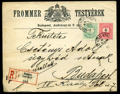 96389 BUDAPEST 1895. Dekoratív, Helyi Vegyes Bérmentesítésű, Krajcáros,céges,ajánlott Levél. - Used Stamps