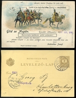 99027 ÚJVIDÉK 1898. Millenniumi 2kr-os Díjjegyes Lap, Céges Volapük (!) Nyelvű Felülnyomással Németországba Küldve - Postal Stationery