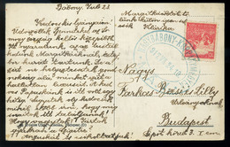 95758 BÁBONY 1917. Képeslap, Kék Nagybábony - Koppánymegyer Vasúti Bélyegzéssel. Ritka! - Used Stamps