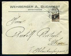 96464 BUDAPEST 1919. Weinberger, Céges Levél Bécsbe Küldve - Oblitérés