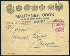 97116 BUDAPEST 1911. Mauthner, Dekoratív Céges Levél, Céglyukasztásos Bélyeggel Verseczre Küldve  /  BUDAPEST 1911 Mauth - Used Stamps