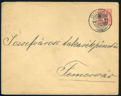 98132 DINYÁS / Torontáldinnyés 1903. Díjjegyes Boríték, Luxus Bélyegzéssel Temesvárra Küldve - Used Stamps