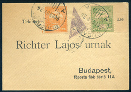 98164 BUDAPEST 1900. Háromszínű, Közte Felezés! Helyi Richter Levél érkezési Bélyegzéssel!  /  1900 3 Color Incl. Halved - Used Stamps