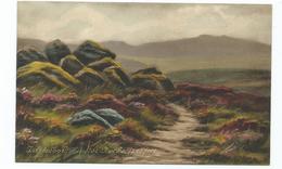 Devon Dartmoor Artist Signed P.t.lugg Haytor Rock  Frith's Unused - Dartmoor