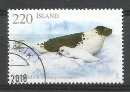 Island 2010 , Robben - Gestempelt / Used / (o) - Maximumkarten