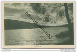 Berlin - Schlachtensee - Zehlendorf