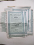 Delcampe - 6 X Actions - Compagnie Du Chemin De Fer De L'Altaï - Saint Pétersbourg, 1912 - Russie