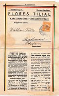 Document Perfin Flores Tiliae Magyar 3 Filler Begaszent Gyorgy Serbie Pour Postdam - Covers & Documents