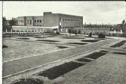 Carte  Glacée  De Dour   Athenée Royale De L'Etat - Dour