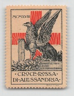 07442 "CROCE ROSSA DI ALESSANDRIA - MCMXVIII (1918)" ERINN. ORIG., MAI APPLICATO - Erinnophilie