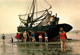 JH BÜSUM - Buesum