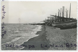 - 8 - LE BARCARES - Les Bateaux De Pêche - ( Pyr. - Or ), Glacée, Cliché Peu Courant, écrite, Coins Ok, TBE, Scans. - Port Barcares