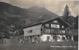 Delcampe - REUTI - HASLIBERG → Châlet "Ey" Bäuerin Mit Kühen, Schöne Fotokarte Ca.1930 - Hasliberg