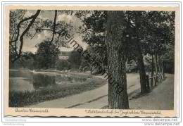 Berlin-Grunewald - Waldlandschaft - Jagdschloss Grunewald Ca. 1935 - Grunewald
