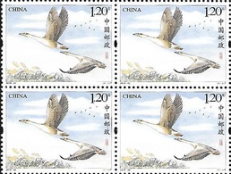 China 2018 - One Block Of 4 Wild Goose Greese Bird Birds Fauna Nature Stamps MNH 2018-22 - Oies