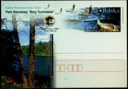 WATER BIRDS- COMMON CRANE- PRE PAID - ILLUSTRATED WITH SIMULATED PERFORATIONS- POST CARD-POLAND- MNH-MC-56 - Grues Et Gruiformes