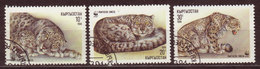 KIRGUIZISTAN - YT N° 28 / 30 - Oblitérés - WWF Panthères - Used Stamps