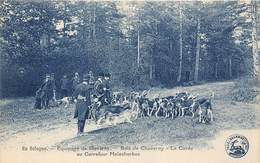 41-CHEVERNY- EQUIPAGE DE CHEVERNY- BOIS DE CHEVERNY- LA CUREE AU CARREFOUR MALESHERBES - Cheverny