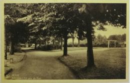 Dour Belvédère Un Coin Du Parc - Dour