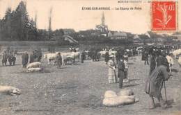 Etang Sur Arroux        71     Le Champ De Foire       (voir Scan) - Autres & Non Classés