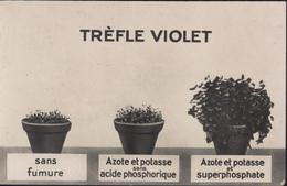 CPA Trèfle Violet Sans Fumure Azote Potasse Acide Phosphorique Superphosphate FM 1940 Dépôt Infanterie 181 Bordeaux - Cultivation
