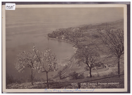 FORMAT 10x15cm - DISTRICT DE LAVAUX - CULLY - TB - Cully