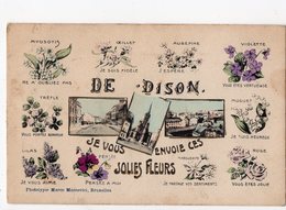 9 -  De DISON, Je Vous Envoie Ces Jolies Fleurs - Dison