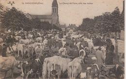 18 - SANCOINS - CHAMP DE FOIRE COTE DES VACHES - Sancoins