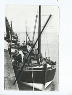 CPSM  - La Côte D'opale - Cayeux Sur Mer -(Somme) - Bateaux De Pêche Au Hourdel - Le Hourdel