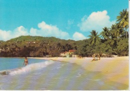 Grenada Coral Sand Grand Anse Beach Circulated Postcard (ask For Verso / Demander Le Verso) - Grenada