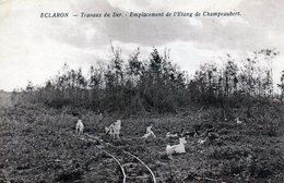 Eclaron, Travaux Du Der, Etang De Champeaubert, Voie Férrée - Eclaron Braucourt Sainte Liviere