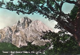 Delcampe - GRAN SASSO D' ITALIA - Teramo