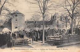 44-CHATEAUBRIANT- LA PLACE DES TERRASSES UN JOUR DE MARCHE - Châteaubriant